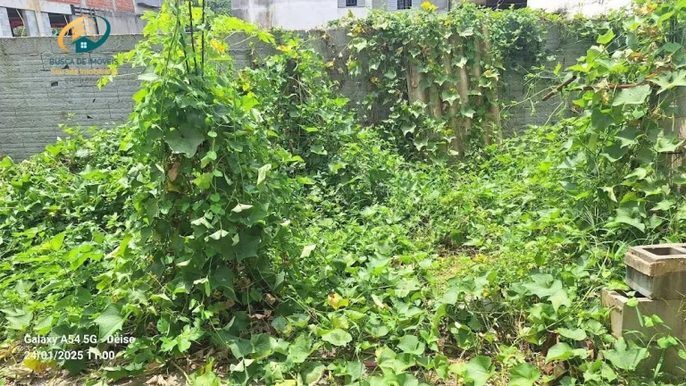 Imagem Casa Sobrado em Planalto Paulista, São Paulo/SP