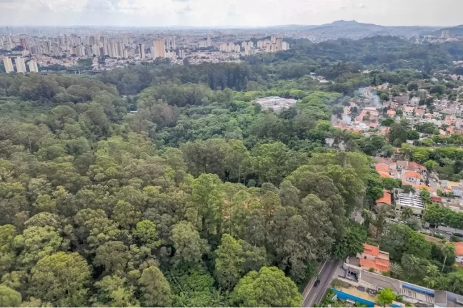 Imagem APARTAMENTO RESIDENCIAL em São Paulo - SP, Tucuruvi