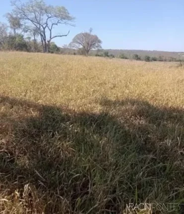 Imagem Fazenda à Venda, 2.032.800 m² em Zona Rural - Guaraci