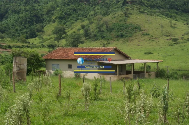 Imagem Fazenda 40 alqueires com estrutura, casa, água, energia, altitude para plantar café e gado, cidade Santo Antônio da Alegria - SP