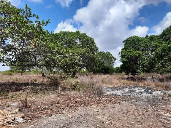 Imagem Granja para Venda em Macaíba, Centro, 2 dormitórios, 3 banheiros, 9 vagas