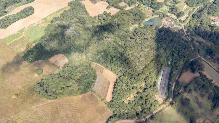 Imagem Chácara no Ferraria - Passaúna