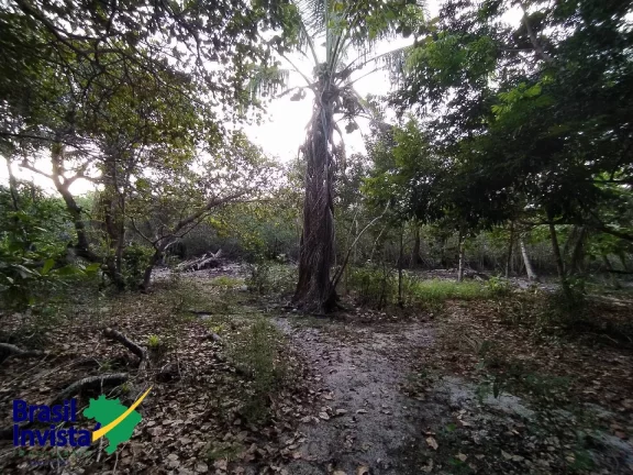 Imagem ÁREA EM ARRAIAL D'AJUDA
