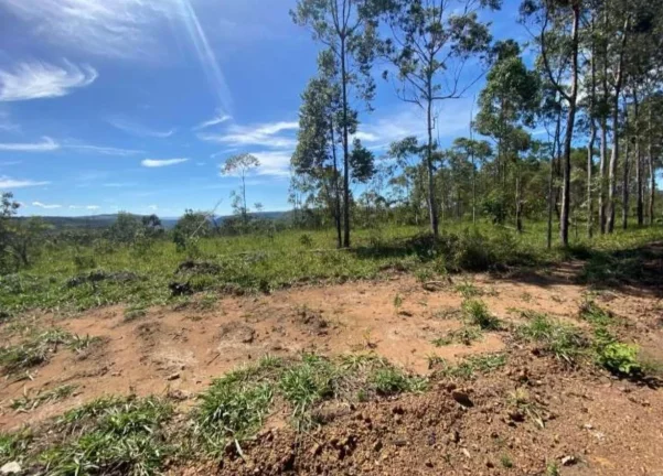 Imagem OPORTUNIDADE! FAZENDA A VENDA EM PEIXOTO (LAJE-IBIRACI)