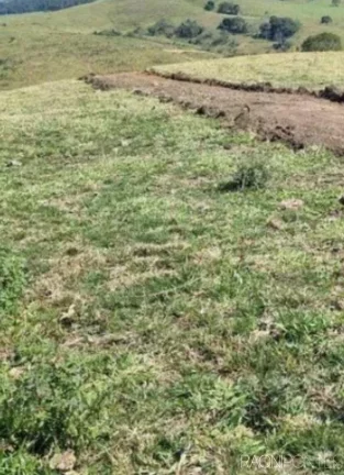 Imagem Fazenda à Venda, 8.373.200 m² em Zona Rural - Jacutinga