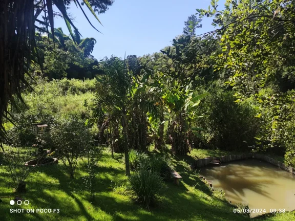 Imagem Sitio barato e com escriturta a venda na cidade de Cunha