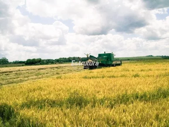 Imagem Ótima área rural com 145 hectares