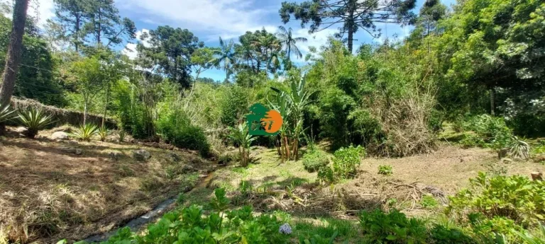Imagem Sítio para Venda em São Roque, Ponte Lavrada, 4 dormitórios, 3 suítes, 4 banheiros