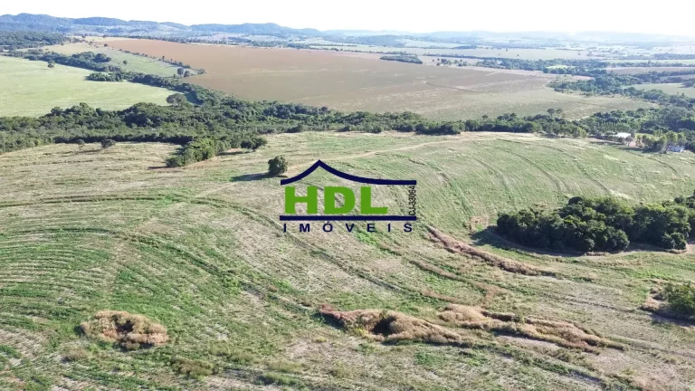 Imagem Fazenda Top 243 Ha alta produtividade em Piracanjuba GO