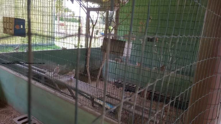 Imagem Terreno em Condomínio para Venda em Macaíba, Área Rural de Macaíba