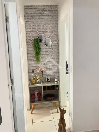 Imagem Apartamento à Venda – 2 Quartos no Condomínio Horácio Camargo, Campo Grande