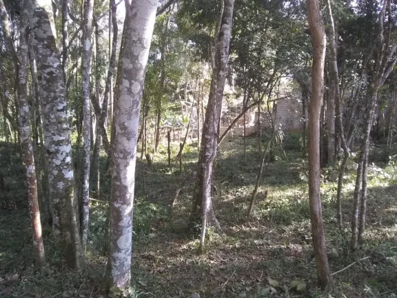 Imagem Terreno com 1889 m2 próximo a praça do Caputera - Aceita financiamento bancário