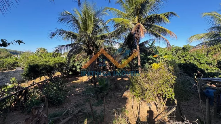 Imagem Chácara á venda no condomínio Recanto dos Pássaros Residencial Porto Seguro - Caratinga