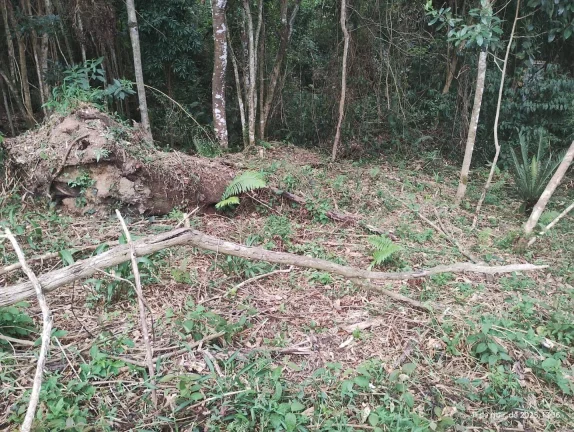 Imagem Terreno à venda, 1210 m² por R$ 250.000,00 - Paysage Bella Vitta - Vargem Grande Paulista/SP