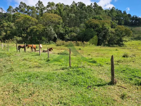 Imagem Lindo Sítio à Venda e Piracaia 20Alq