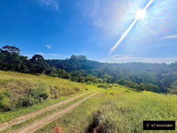 Imagem Área à venda em Terra Preta Mairiporã/SP - 48.000m² Próxima à Rodovia!