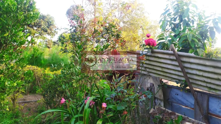 Imagem Compre Rancho/ Chácara em Jardim Santa Tereza - São Paulo