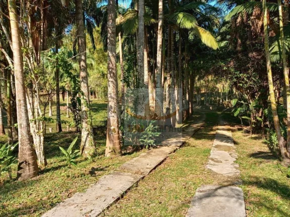Sítio à venda, 72000 m² por R$ 400.000,00 - Padre André - Jacupiranga/SP