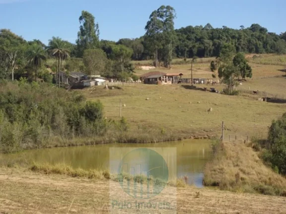 Imagem SÍTIO A VENDA 66,5 HECTARES para GRÃOS E GADO, JACUÍ MG