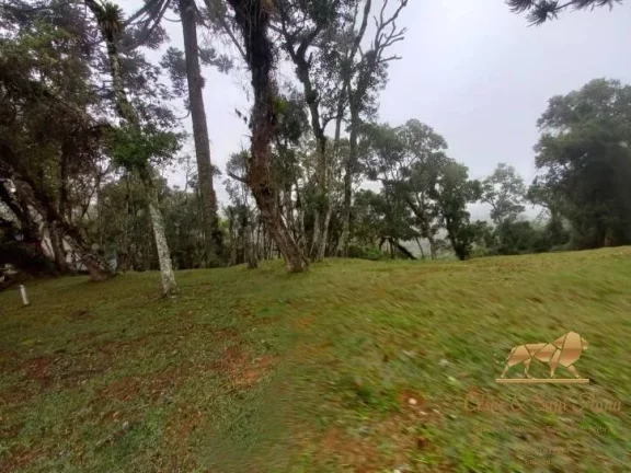 Imagem Terreno à venda em Campos do Jordão de R$690mil por R$550mil.