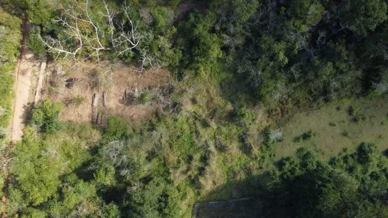 Imagem Terreno com Vista Privilegiada e Grande Potencial em Garopaba - Encantada / Serraria