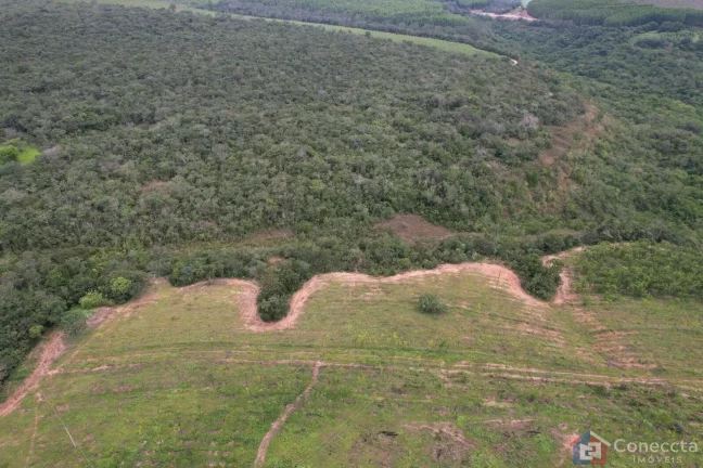 Imagem Fazenda em Centro, Presidente Olegário/MG