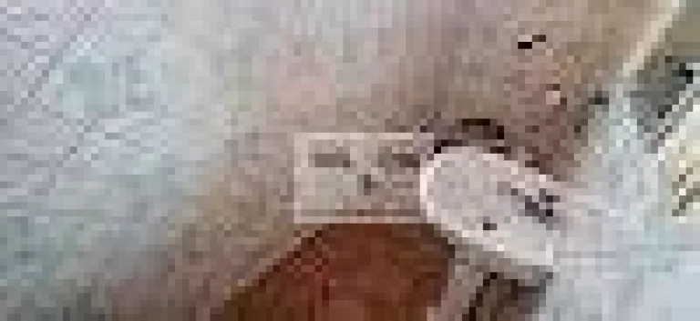 Imagem Casa com 3 dormitórios para alugar, 190 m² por R$ 6.830/mês - Ponte Preta - Campinas/SP