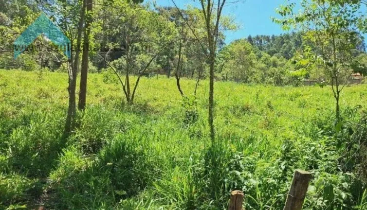 Imagem Chácara para Venda em Nazaré Paulista, Vicente Nunes, 4 dormitórios, 4 suítes, 5 banheiros, 4 vagas