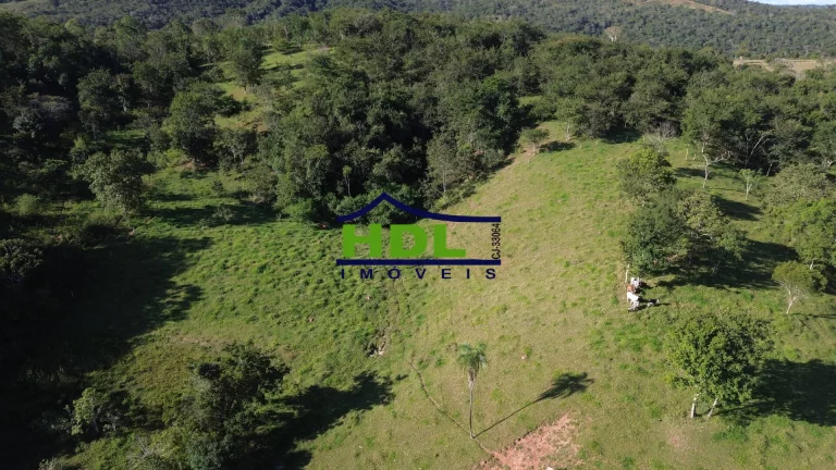 Imagem Chácara com córrego no meio 1 Alqueire e 5 Lts 100 kms de Goiânia