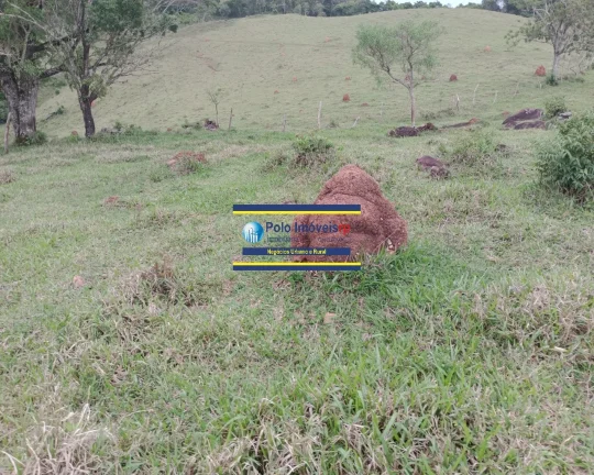 Imagem Sítio 14,5 alqueires para gado, milho, soja em Jacuí Sul de Minas Gerais - possui casa, energia e água.