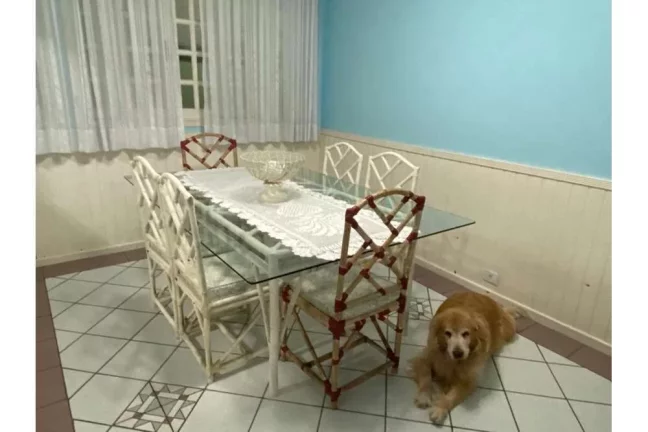 Imagem SDFJL 356 Casa 601811001-34