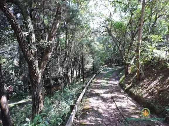 Imagem Reserva do Peroba - 5.300 m² - Rústica! + hóspedes, gourmet, mto jardim!