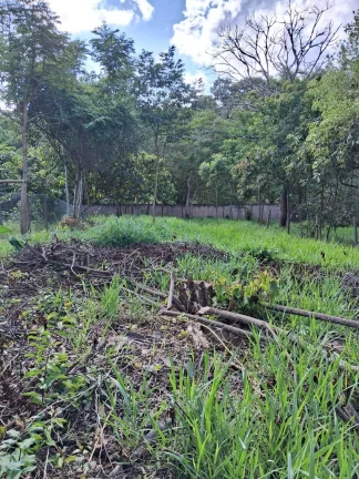 Imagem EXCELENTE LOTE NO SAMAMBAIA 2, EM JUATUBA!