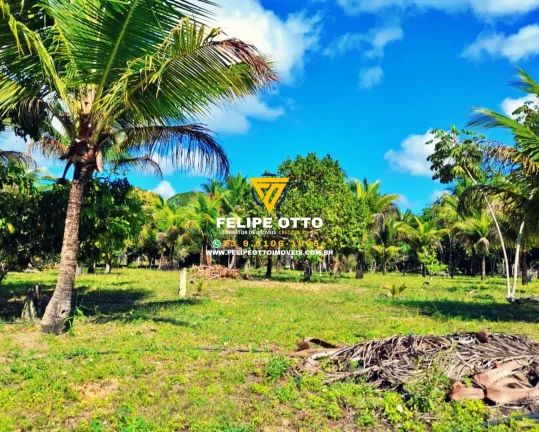 Imagem SITIO RESIDENCIAL em SANTA CRUZ CABRÁLIA - BA, yaya