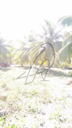 Imagem Terreno para Venda em Conde / BA no bairro Sítio do Conde - Conde-Ba