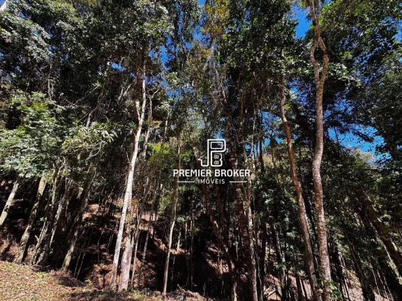 Imagem Terreno à venda, 10.793m² por R$ 440.000 - Albuquerque - Teresópolis/RJ