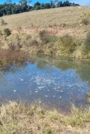 Imagem Fazenda à Venda, 8.373.200 m² em Zona Rural - Jacutinga
