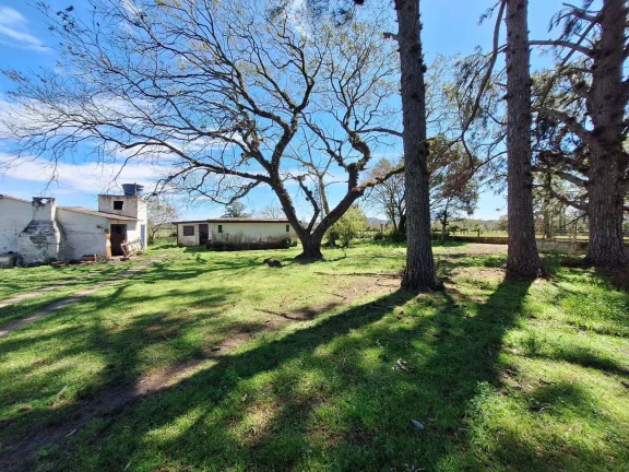 Imagem Excelente Sítio à Venda – 12.580m² – Próximo à Vila de Itapuã, Viamão/RS.