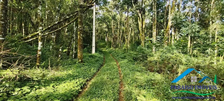 Imagem Terreno Exuberante no Bairro Campestre, Gonçalves – Serra da Mantiqueira