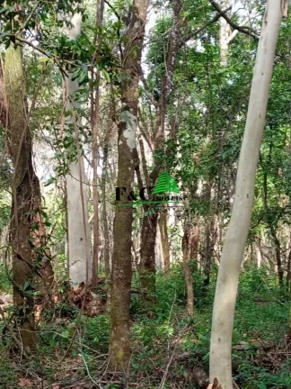 Imagem Terreno para Venda em Rio Claro, Área Rural de Rio Claro