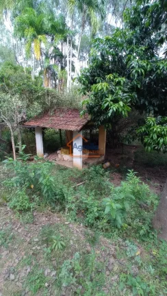 Imagem Sítio à venda no bairro Jardim Primavera - Mogi Mirim/SP