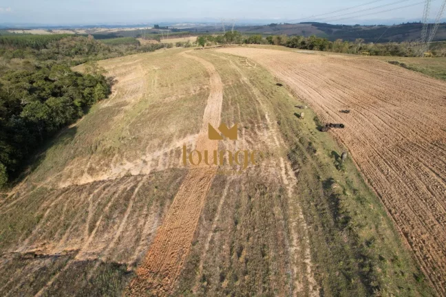 Imagem Área Industrial à venda em Centro (Cocaes) - Sarapuí/SP