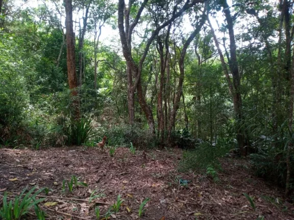 Imagem Área à venda, 1511450 m² por R$ 1.600.000,00 - Estância São Luís - Suzano/SP