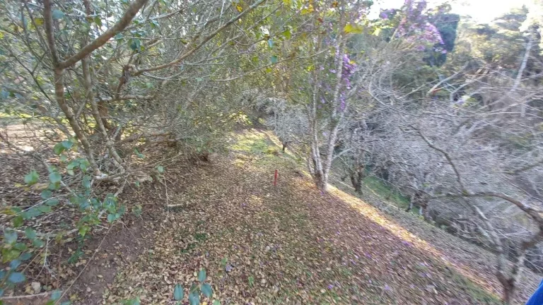 Imagem Propriedade em Nova Friburgo com 23.000m2.