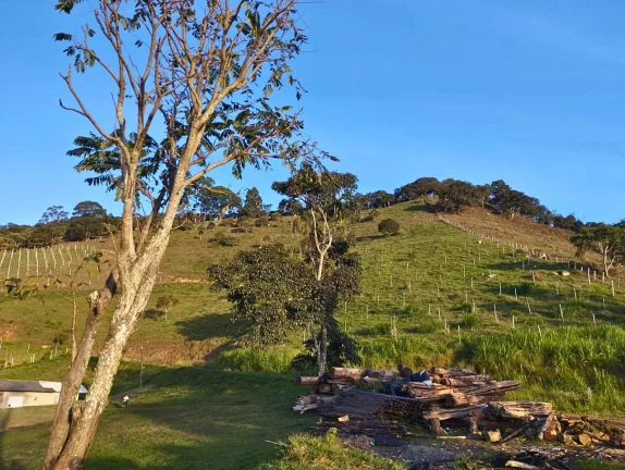 Imagem Legado e Exclusividade: Vinícola Particular no Alto da Boa Vista com 137.000 m² e Vista Panorâmica