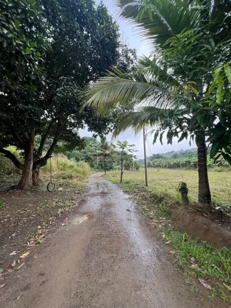 Imagem Terreno em Cariacica com 75.000 m²