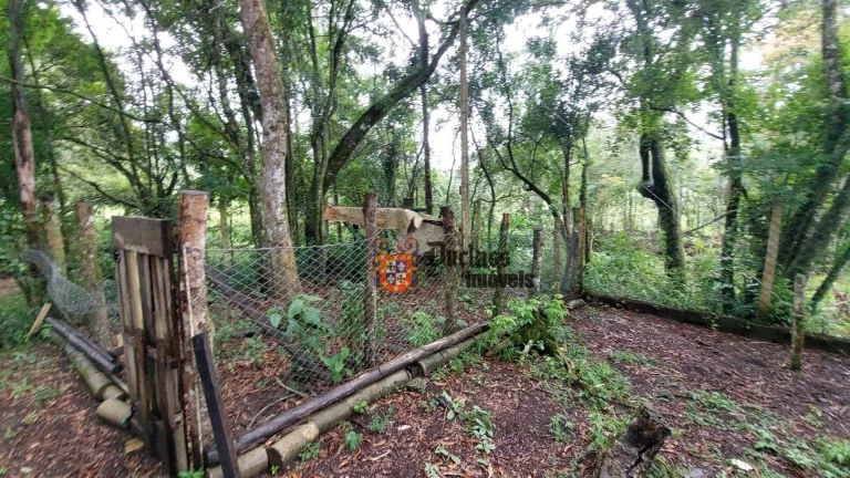 Imagem Chácara com 4 dormitórios à venda, 8000 m² por R$ 990.000,00 - Dos Tenentes - Extrema/MG