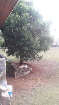 Imagem Casa incrível no Jd. das Palmeiras