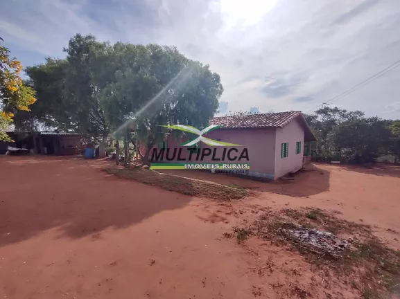 Imagem Chácara 12 km de Uberlândia à venda com Casa, Córrego, Curral, Energia