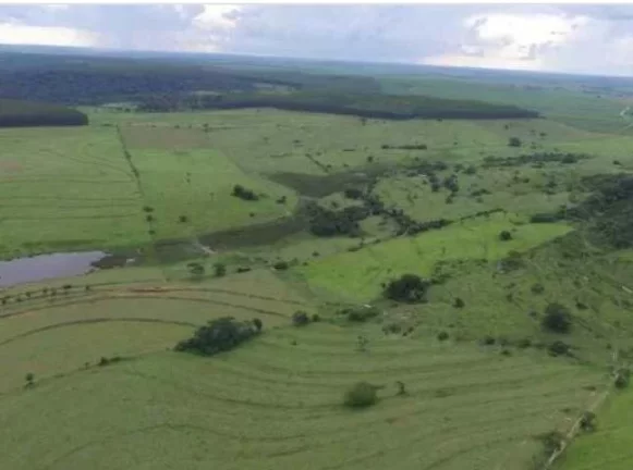 Imagem Fazenda a VENDA, 66 alqueires, Região Bauru